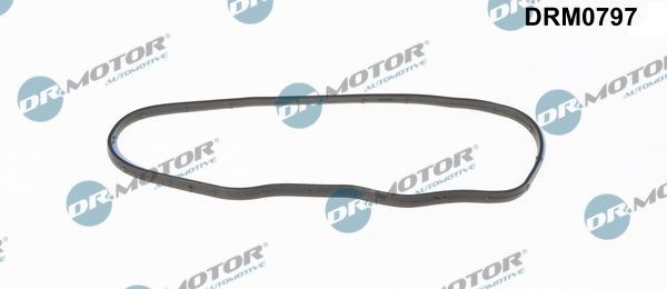 DR.MOTOR AUTOMOTIVE Gasket, timing case cover Article number: DRM0797 cheaply