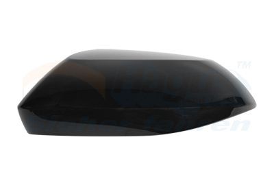 VAN WEZEL Cover, outside mirror Article number: 5415843 cheaply