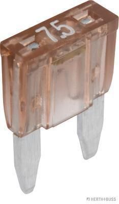 HERTH+BUSS ELPARTS Fuse Article number: 50295676066 cheaply