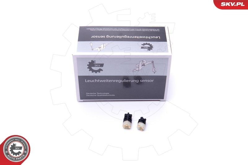ESEN SKV Control Unit, automatic transmission Article number: 17SKV470 cheaply