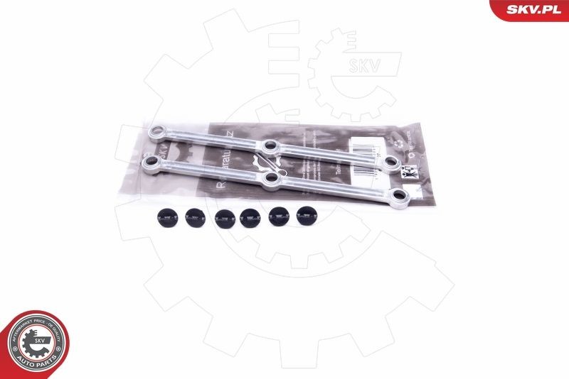 ESEN SKV Repair Kit, intake manifold module Article number: 49SKV507 cheaply