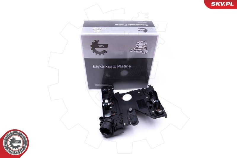 ESEN SKV Control Unit, automatic transmission Article number: 96SKV074 cheaply