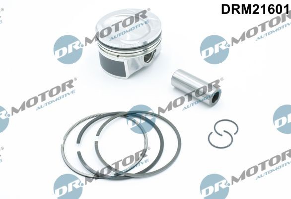 DR.MOTOR AUTOMOTIVE Stempel Varenummer: DRM21601 billige
