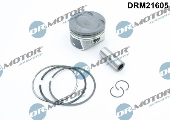 DR.MOTOR AUTOMOTIVE Stempel Varenummer: DRM21605 billige