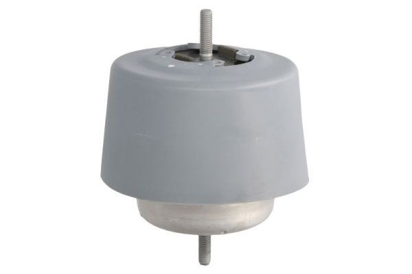 REINHOCH Engine mount Article number: RH11-0064 cheaply