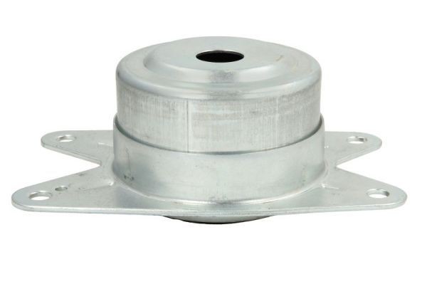 REINHOCH Holder, engine mounting Article number: RH11-5018 cheaply