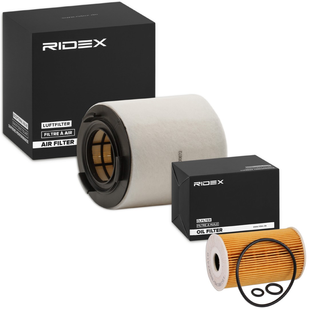 RIDEX Filter kit Varenummer: 4055F0953 billige