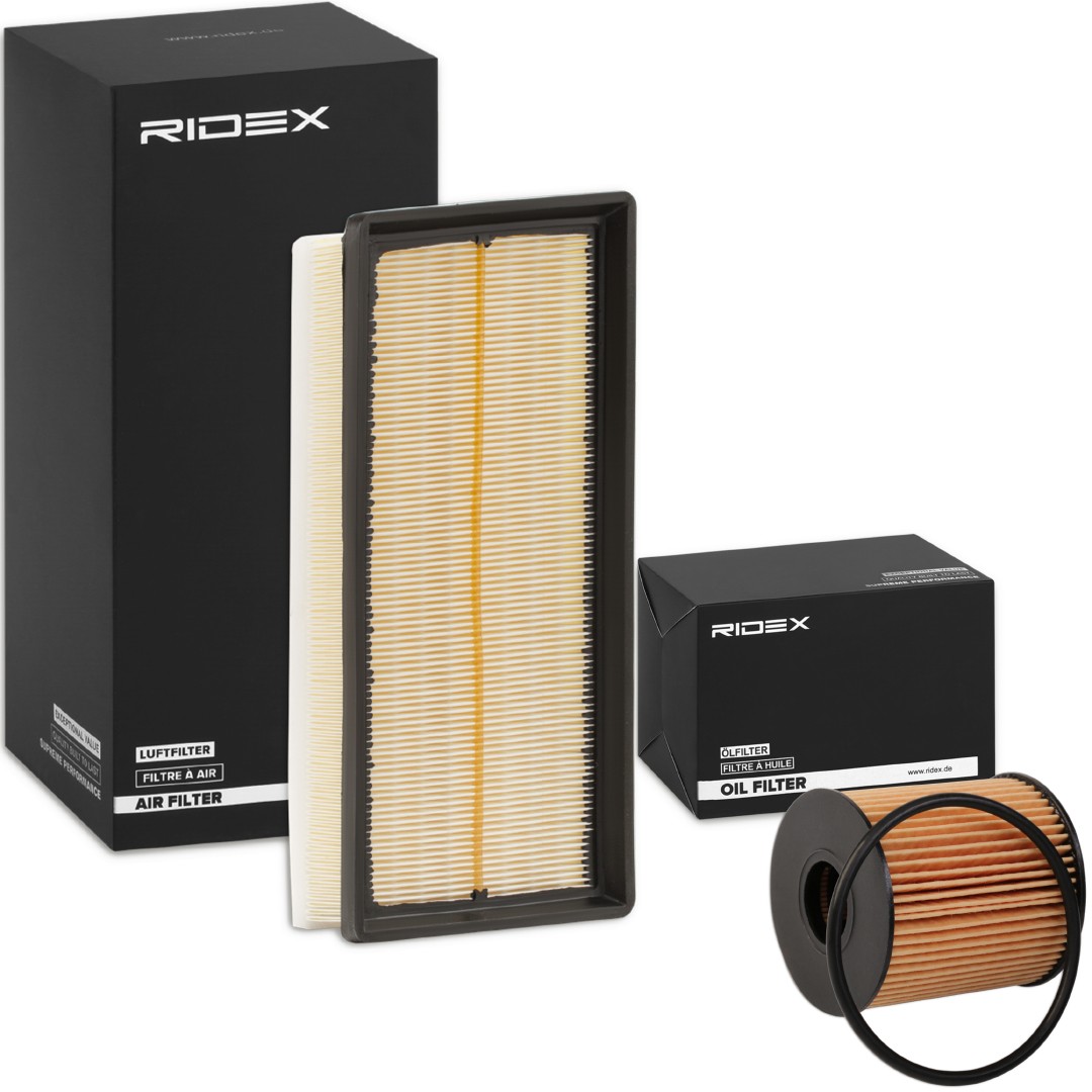 RIDEX Filter kit Article number: 4055F1032 cheaply