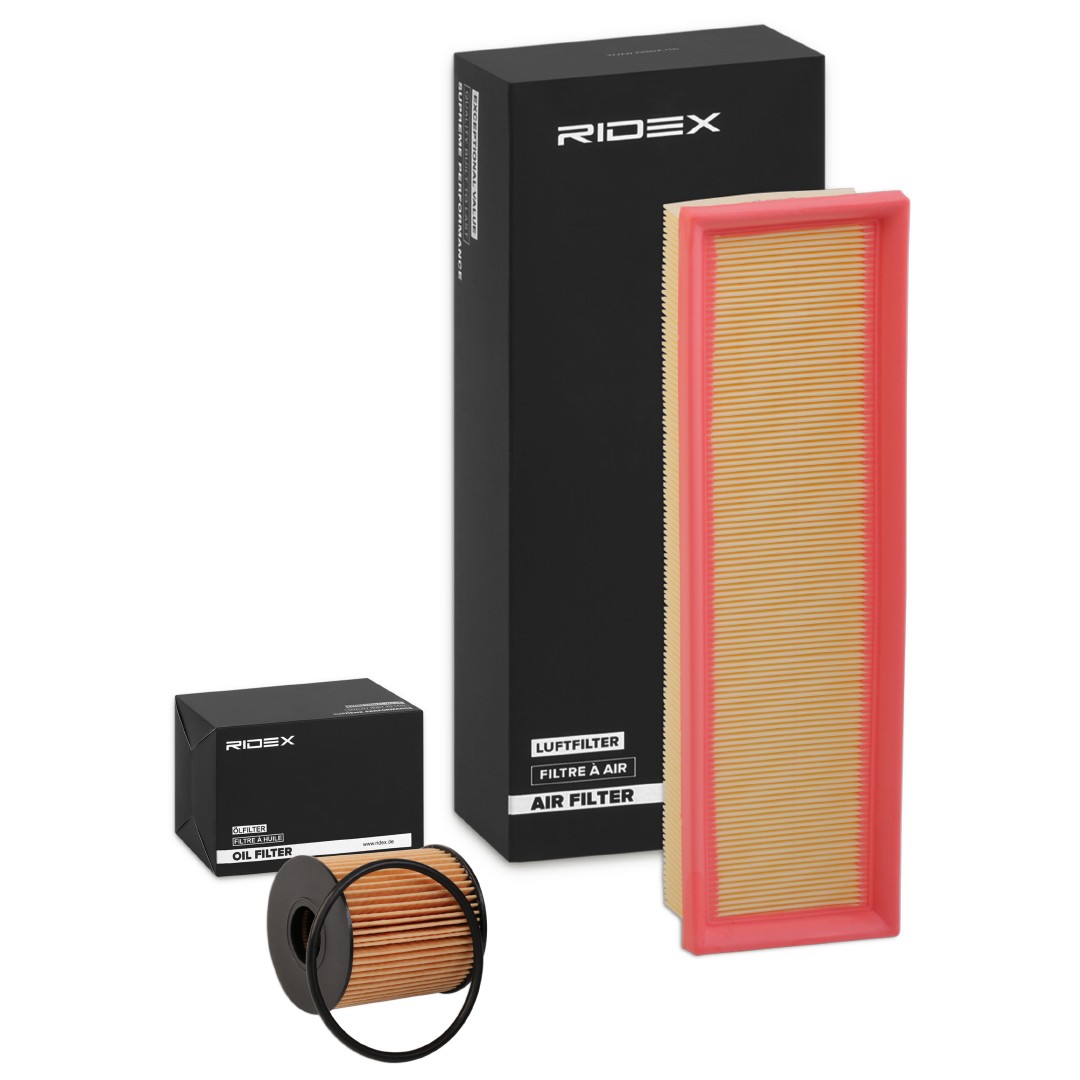 RIDEX Filter kit Article number: 4055F1038 cheaply
