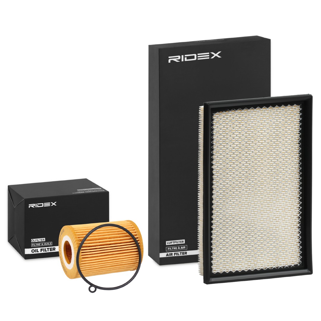 RIDEX Filter kit Article number: 4055F1113 cheaply
