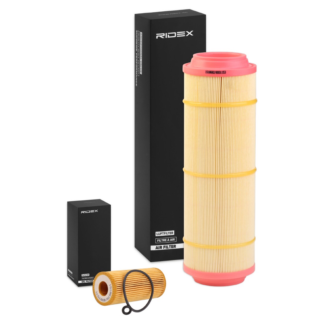 RIDEX Filter kit Article number: 4055F1229 cheaply