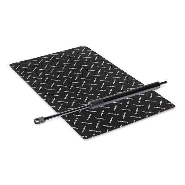 RIDEX Tailgate strut Article number: 219G1046 cheaply