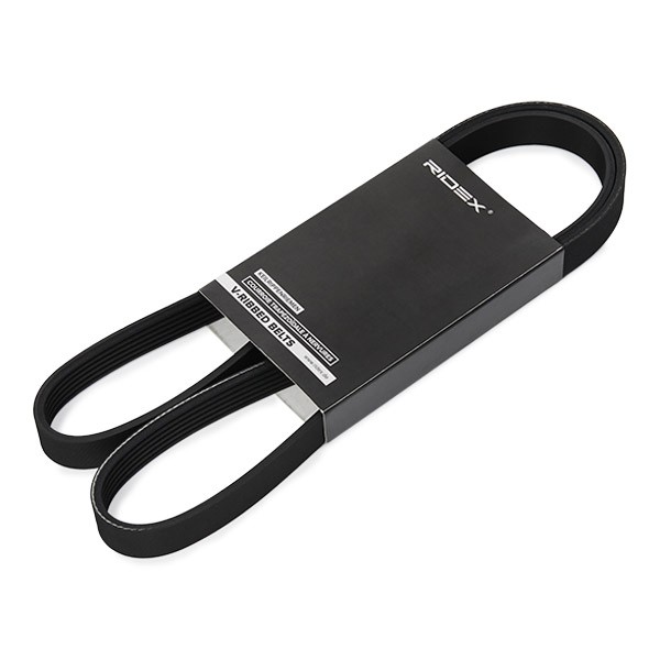 RIDEX Courroie Poly-V UGS: 305P0556 à bon prix