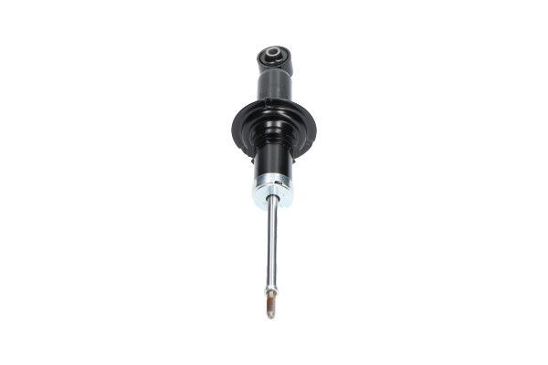 KAVO PARTS Shock absorber Article number: SSA-4557 cheaply