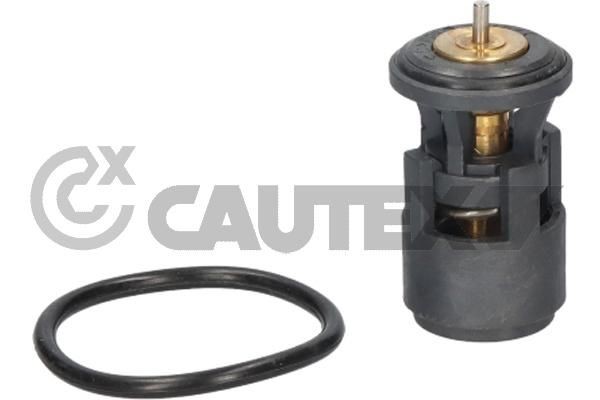 CAUTEX Thermostat Article number: 766541 cheaply