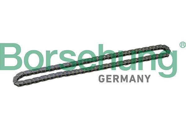 Borsehung Timing Chain Article number: B1C021 cheaply
