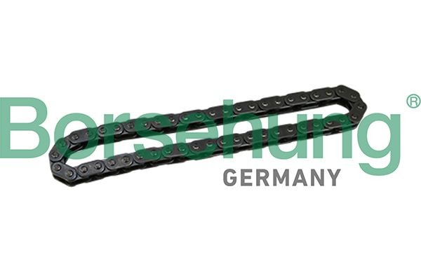 Borsehung Timing Chain Article number: B1C028 cheaply