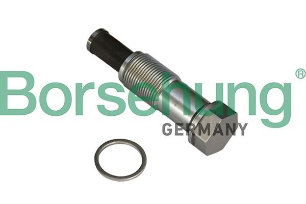 Borsehung Timing chain tensioner Article number: B1T020 cheaply