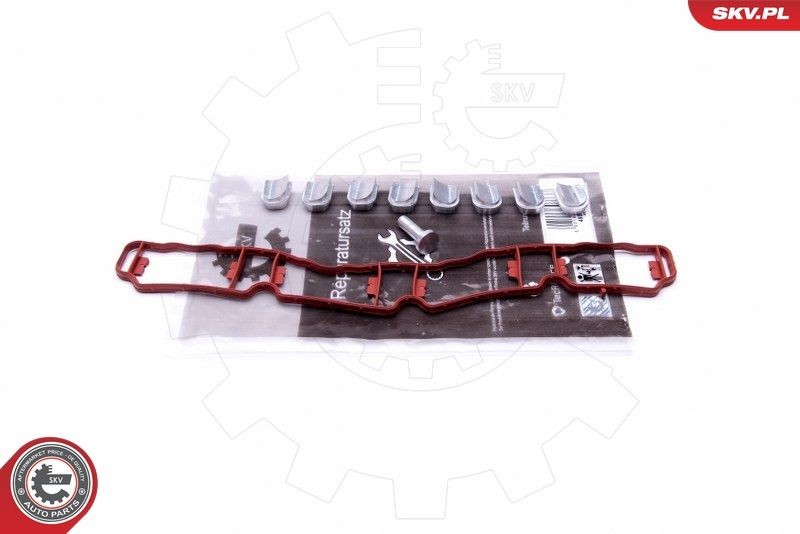 ESEN SKV Repair Kit, intake manifold module Article number: 49SKV510 cheaply