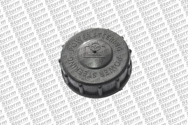 STORM QUALITY PARTS Power steering pump Article number: 81797 cheaply