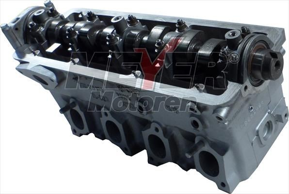 MEYER MOTOREN Cilindro galvutė prekės numeris: 013026220 nebrangu