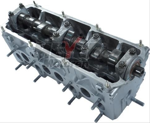 MEYER MOTOREN Cilindro galvutė prekės numeris: 013026670 nebrangu