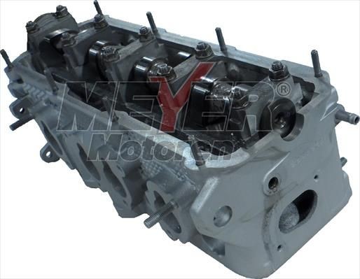 MEYER MOTOREN Cilindru galva raksta numurs: 013027390 lēti
