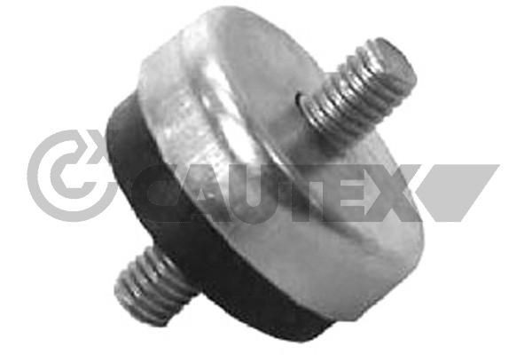 CAUTEX 767216 Ophæng, køler JETTA 1.5 70 HK Benzin 1987