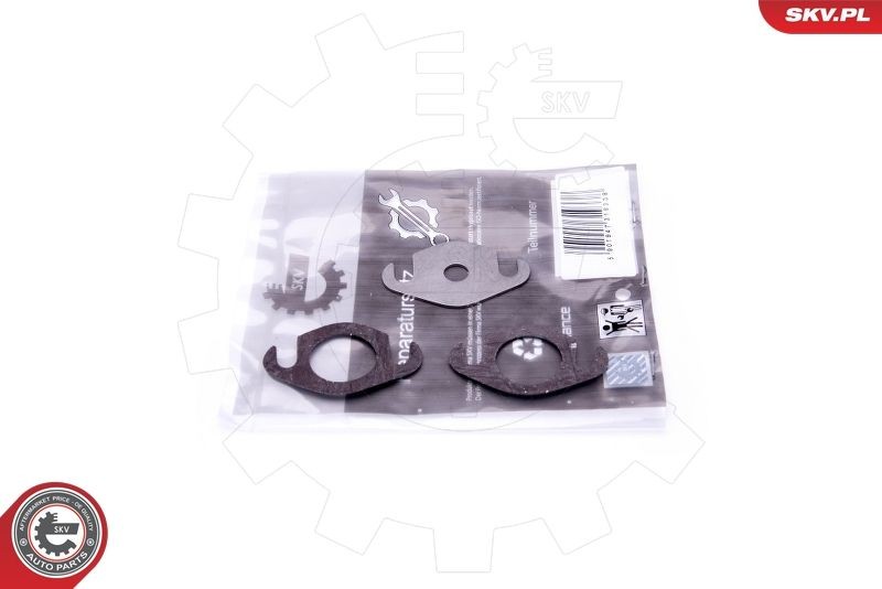 ESEN SKV Repair Kit, intake manifold module Article number: 14SKV501 cheaply