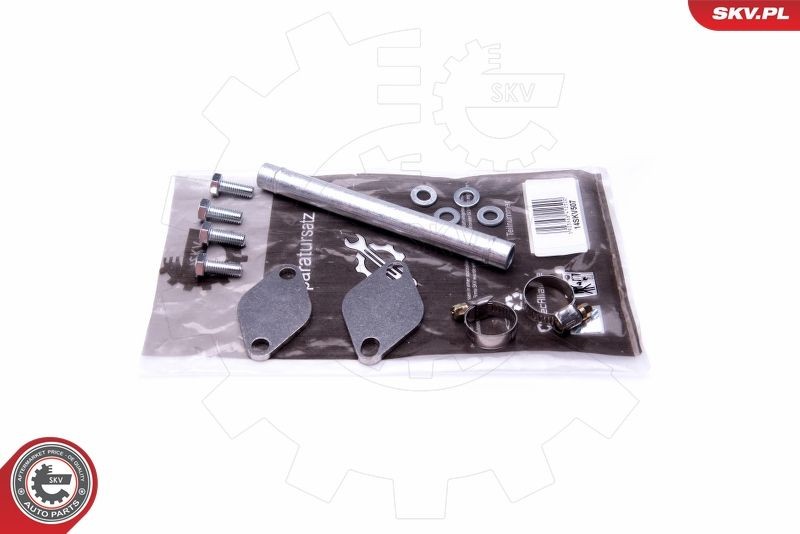 ESEN SKV Repair Kit, intake manifold module Article number: 14SKV507 cheaply