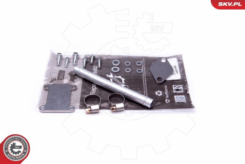 ESEN SKV Repair Kit, intake manifold module Article number: 14SKV508 cheaply