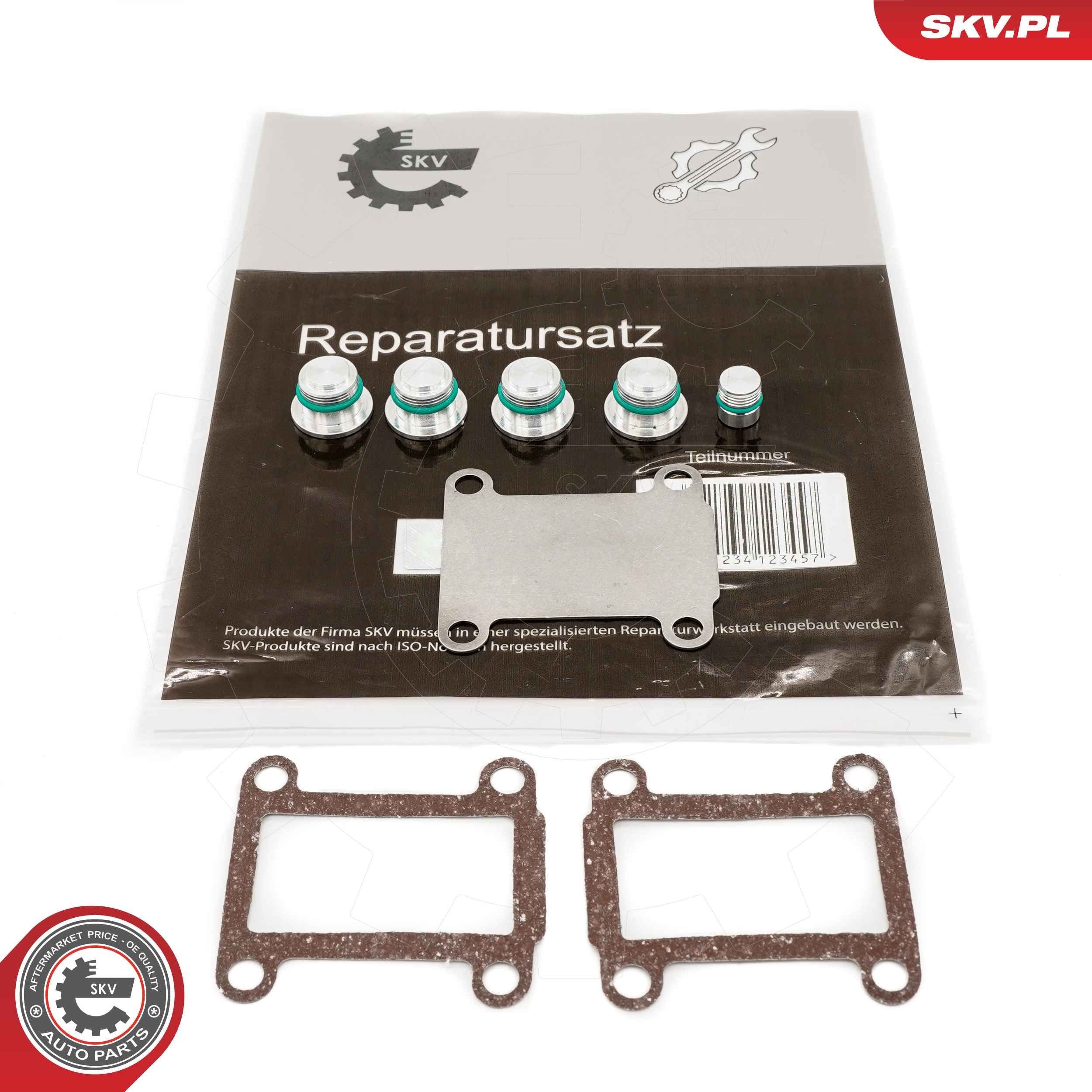 ESEN SKV 49SKV525 Reparationssæt, induktionsrørmodul STILO 1.9 JTD 136 HK Diesel 2008