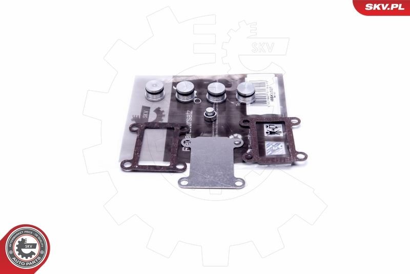 ESEN SKV 49SKV527 Reparationssæt, induktionsrørmodul STILO 1.9 JTD 136 HK Diesel 2008