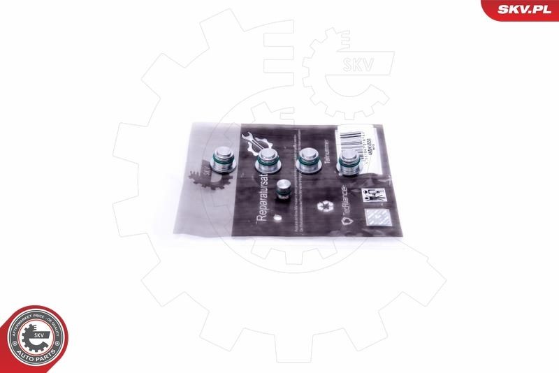 ESEN SKV Repair Kit, intake manifold module Article number: 49SKV530 cheaply