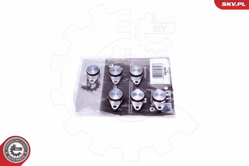 ESEN SKV Repair Kit, intake manifold module Article number: 49SKV545 cheaply