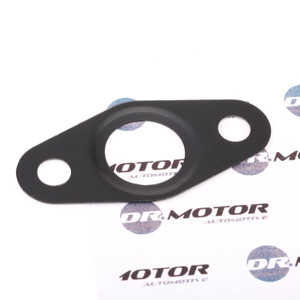 DR.MOTOR AUTOMOTIVE Seal, oil outlet (charger) Article number: DRM01055 cheaply