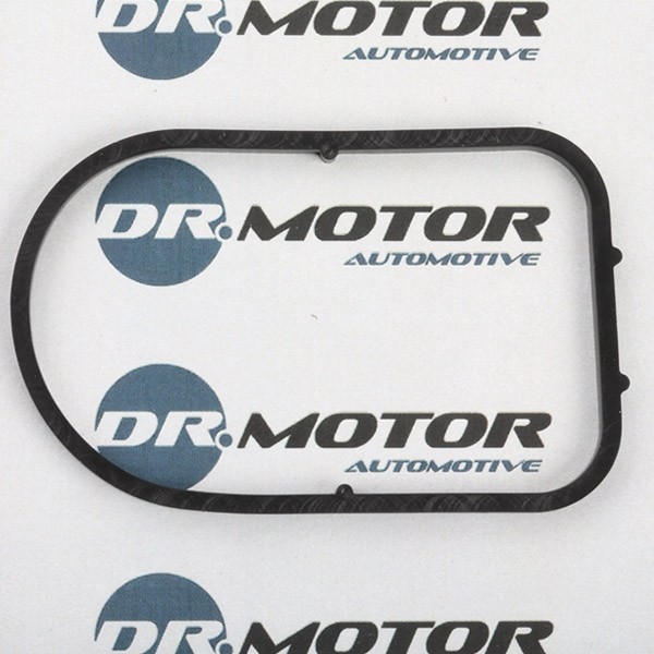 DR.MOTOR AUTOMOTIVE Guarnizione, Pompa depressione Numero articolo: DRM0867 poco costoso