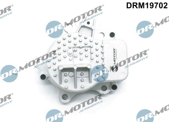 DR.MOTOR AUTOMOTIVE Water pump Article number: DRM19702 cheaply