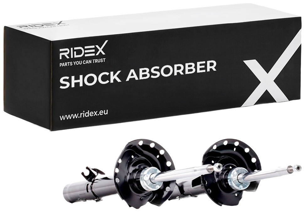 RIDEX Shock absorber Article number: 854S18195 cheaply