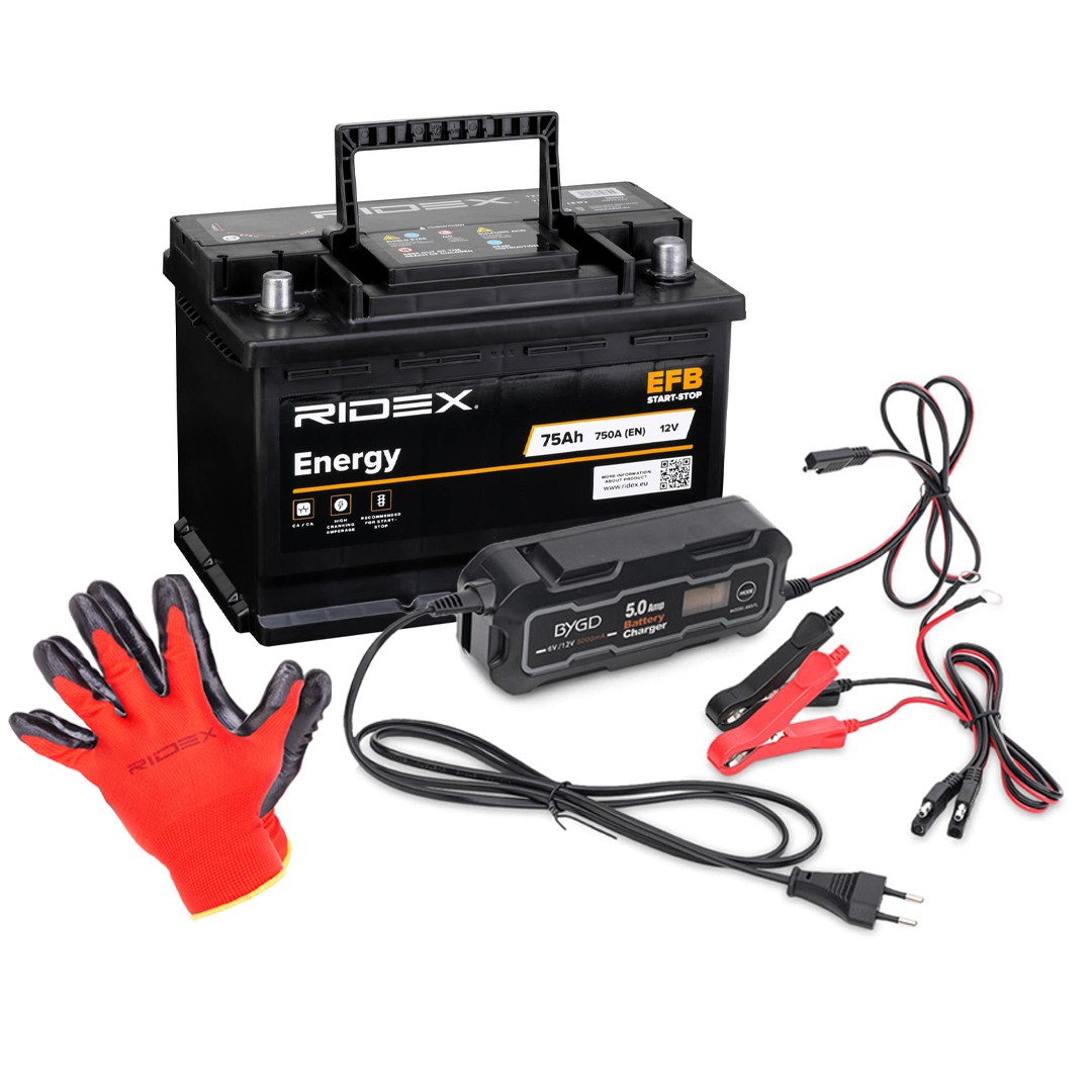 RIDEX Battery Article number: 1S0301 cheaply