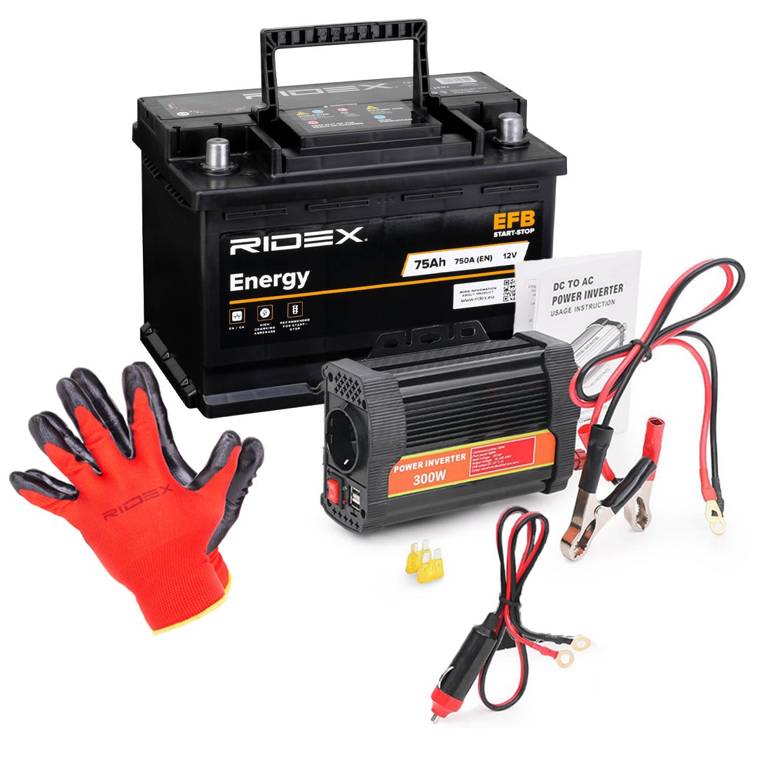 RIDEX Battery Article number: 1S0310 cheaply