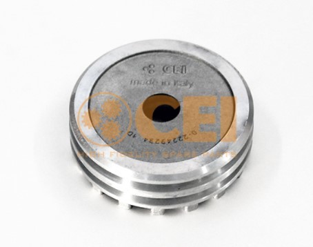 CEI Piston, cylindre de commande UGS: 189.825 à bon prix