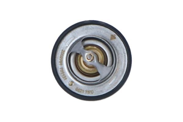 NRF Thermostat Article number: 725131 cheaply