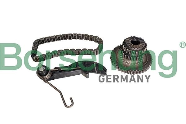 Borsehung B10218 Keti komplekt, õlipumbavedu PASSAT 1.8 TSI 160 HP Bensiin 2011