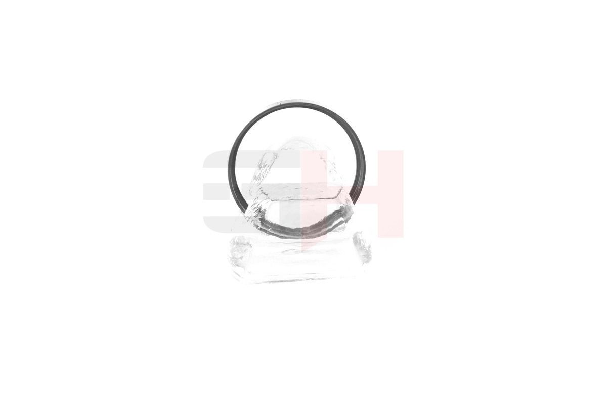 GH ABS sensor ring Article number: GH-493763 cheaply