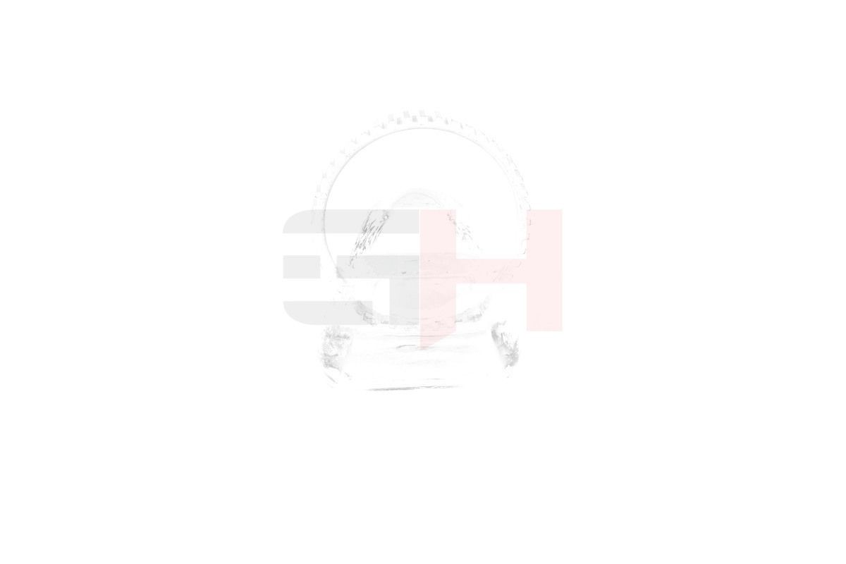 GH Andur, ABS Artikli number: GH-493981 soodsalt