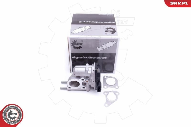 ESEN SKV EGR valve Article number: 14SKV215 cheaply