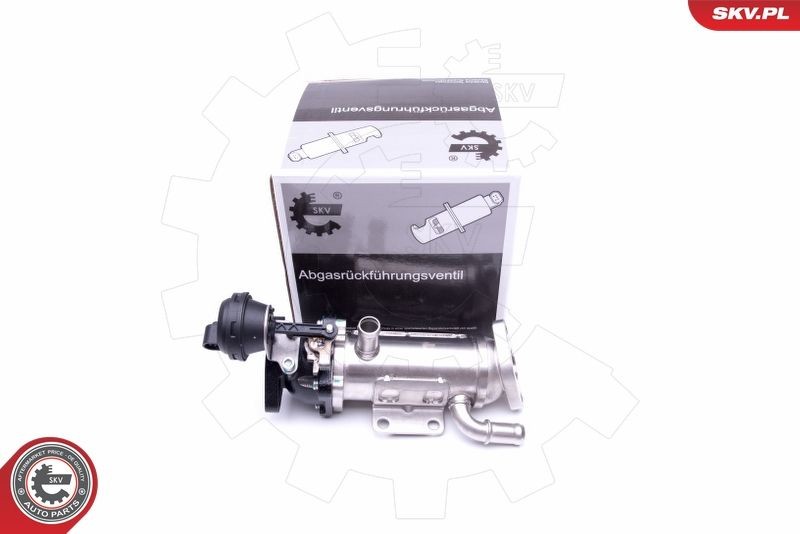 ESEN SKV 14SKV227 EGR-jahuti ESPACE 2.0 dCi (JK01, JK02, JK1J, JK1K, JK1H) 150 HP Diisel