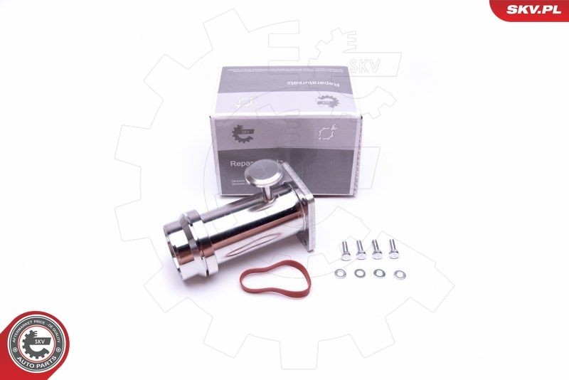 ESEN SKV Repair Kit, intake manifold module Article number: 14SKV509 cheaply