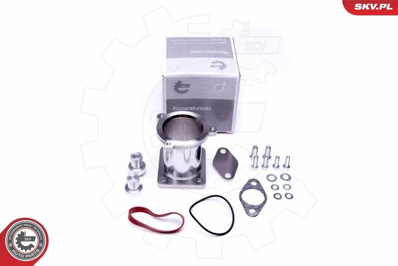 ESEN SKV Repair Kit, intake manifold module Article number: 14SKV512 cheaply